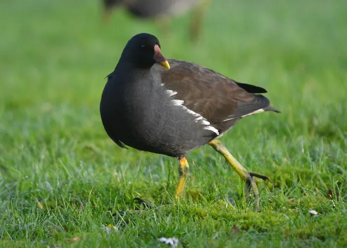 Uferweg بيت للعطل أوترندورف